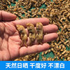 Selected Sand-Free Dried Razor Clams 500g Fujian Specialty Sea Razor Clam Meat Jerky Fresh Seafood Dry Goods Soup Stir-Fry X Aquatic Products