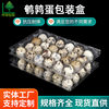 Disposable Plastic Box Blister Quail Egg Packaging Box Transparent Pet Plastic 24 Pieces Quail Egg Tray Quail Egg Box