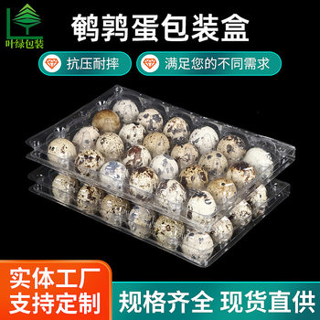 Disposable Plastic Box Blister Quail Egg Packaging Box Transparent Pet Plastic 24 Pieces Quail Egg Tray Quail Egg Box