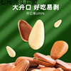 2024 New Northeastern Pine Nuts, Nuts, Dried Fruits, Bulk Snacks, Specialty Grade Large Particles, Wholesale Roasted Seeds