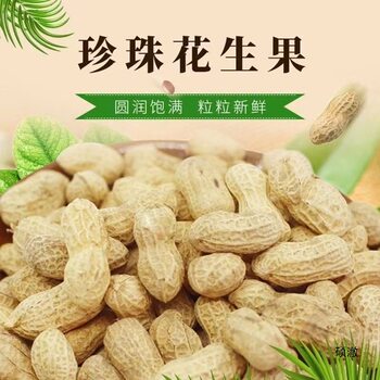 Seasonal Shelled Pearl Peanuts, Freshly Picked and Naturally Sun-Dried Small Peanut Seeds, Raw Peanuts with Skin Wholesale