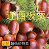 Authentic Raw Chestnuts from Qianxi, Authentic Yanshan Wild Oil Chestnuts, Fresh Shelled Raw Chestnuts for Weddings