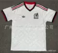 2627 world cup model mexican passenger