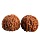 Wenwan Walnut hand play оптовая продажа официальной шляпы с рисунком Кирин из грецкого ореха, основной цвет, пластина play hand handle мужская антикварная сумка из мякоти грецкого ореха mini 4