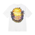 White【Palm Tree】