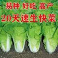seller product image
