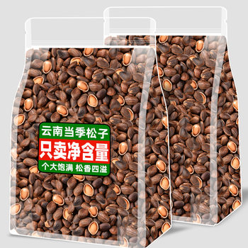 Yunnan Specialty Pine Nuts Fresh Large Particles Falling into Water Bulk Open Pine Nuts Tree Seeds Pine Nuts Original Flavor Snacks for Pregnant Women