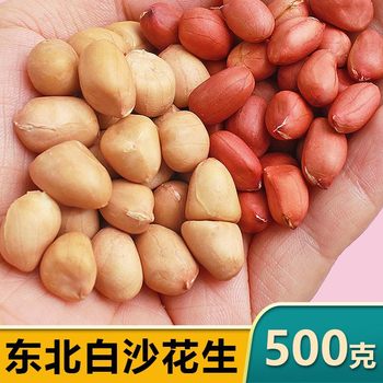 Northeast Red-Skinned Peanuts, White Sand, 2024 New Peanuts, Large Kernels, Peeled and Shelled, Fresh Pink-Skinned Raw Peanuts