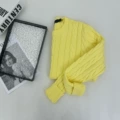 Light yellow/blue mark