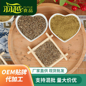 Fried barbecue brush seasoning commercial fried skewers barbecue dip dry marinade snacks cumin powder barbecue fish recipe