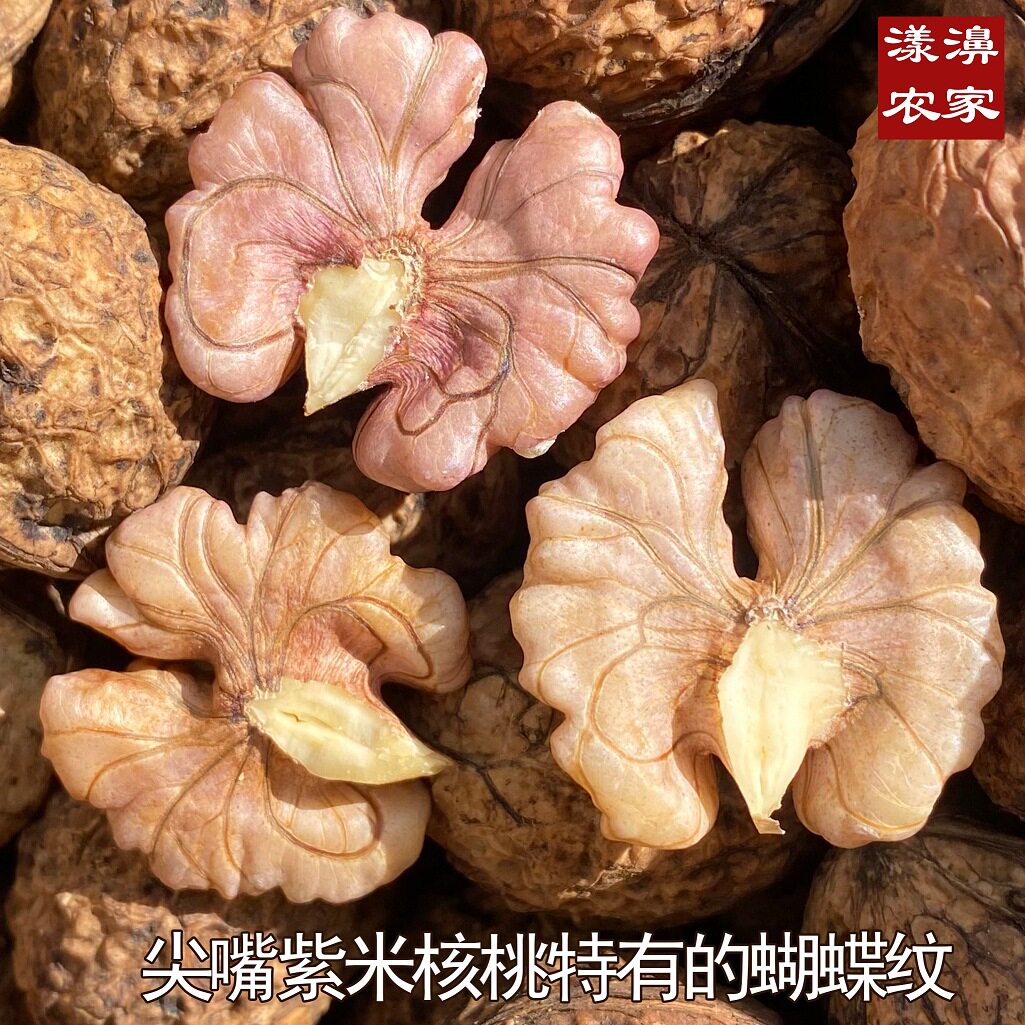 New Arrival Yunnan Yangbi Sharp-Tailed Purple Rice Mother Walnut Old Tree Thin-Skinned Nuts for Pregnant Women Wild Alpine Walnut Paper Skin