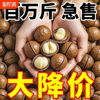 New Arrival Macadamia Nuts Wholesale Canned New Year Snacks 500g Whole Box Dried Fruit Cream Flavor Bulk Weighing