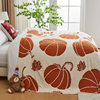 Cross-Border Exclusive Amazon Christmas Pumpkin Half-Velvet Blanket Blanket Office Sofa Leisure Nap Blanket