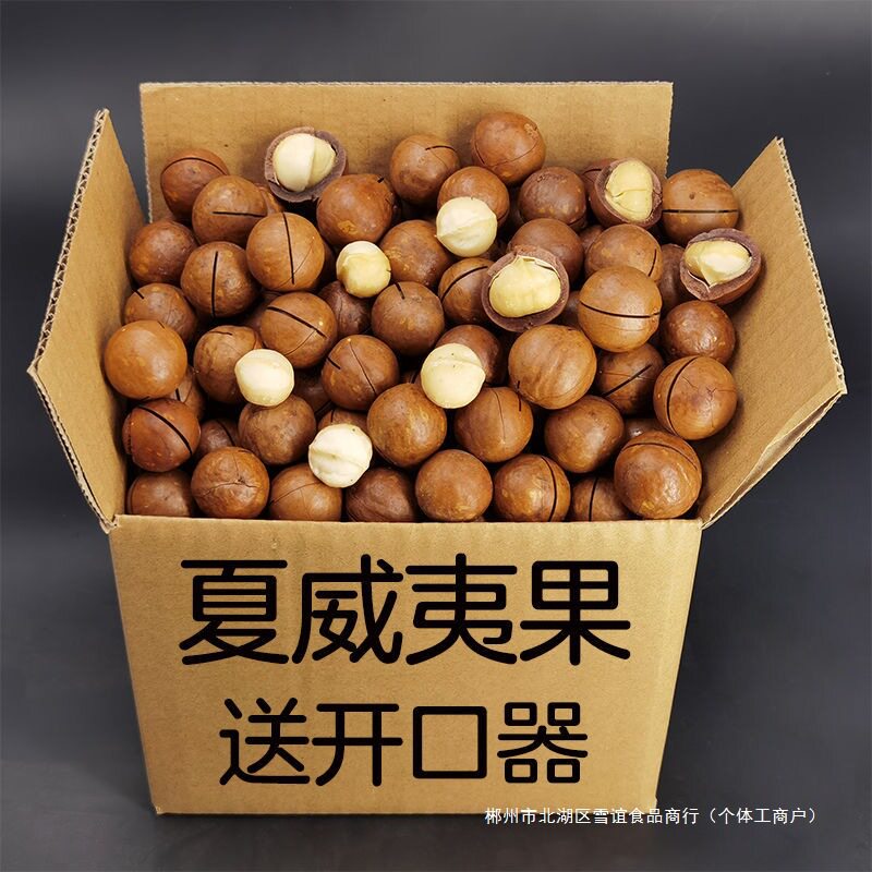 Four Types of Nut Combination Gift Packs: Macadamia Nuts, Almonds, Pistachios, Pecans, Cashew Nuts, Canned Snacks