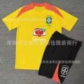 2526 brazil yellow