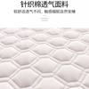 Mattress Bottoming Tatami Soft Cushion Double Thickeneded Sponge Cushion Household Single Mattress Student Dormitory Latex Cushion