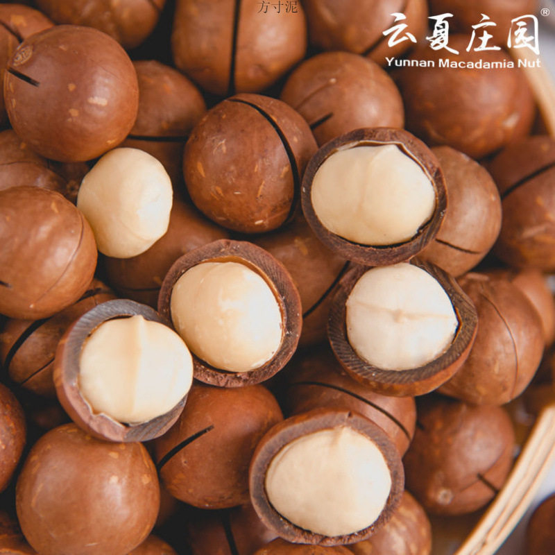 Yunxia Manor New Large Granules Hawaiian Fruit Cream Flavor Leisure Snacks Net Weight 500g/1000g Factory