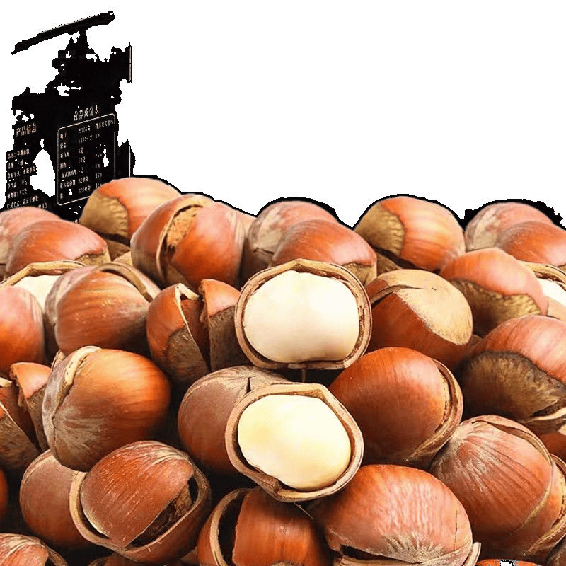 New Northeastern Large Hazelnuts Original Flavor Raw Fried Tieling Specialty Dried Fruit Snacks Fresh Thin-Skinned Nut Snacks Wholesale