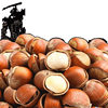 New Northeastern Large Hazelnuts Original Flavor Raw Fried Tieling Specialty Dried Fruit Snacks Fresh Thin-Skinned Nut Snacks Wholesale