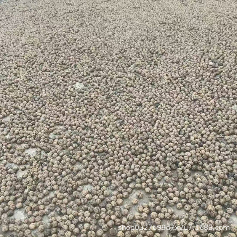 2025 New Yunnan Dried Walnuts Thin-Skinned Yunnan Pecans Wholesale Nuts Pecans for Pregnant Women and the Elderly