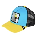 Toucan