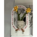 Narcissus 30cm