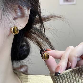 Retro Maillard Caramel Chestnut Color Earrings for Women, Accessible Luxury, Versatile, High-End Earrings, Niche Elegant Earrings