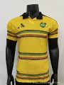 Player, 2627 jamaica home