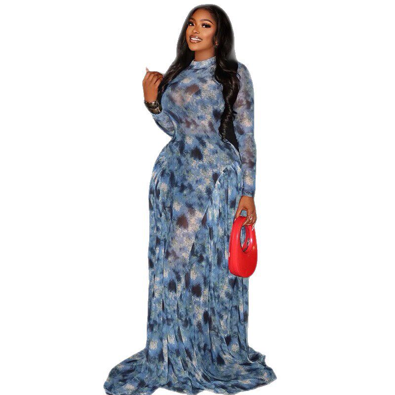 Elegant A Line Maxi Dress for Women Waist Defining Sheer Floral Print High Neck Slim Fit Perfect for Casual or