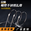 304 Stainless Steel Metal Self-Locking Cable Ties Black Spray Epoxy Resin Coated Cable Ties Stainless Steel Cable Ties