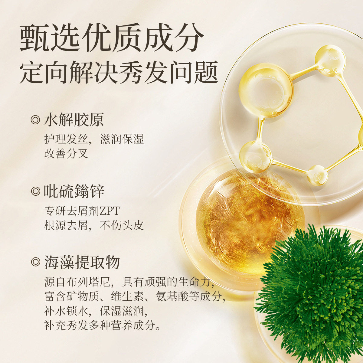 Seaweed Hydrating Protein Shampoo, Amino Acid Smoothing, Anti-Dandruff, Moisturizing Shampoo, Fluffy and Deeply Moisturizing