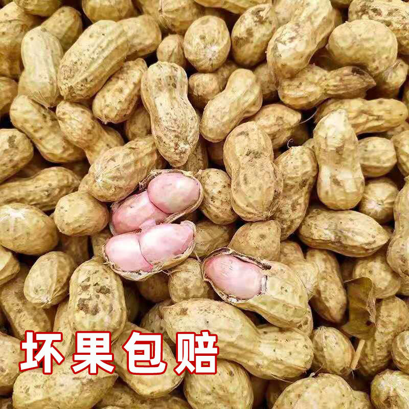 20 Fresh Shelled Fresh Peanuts Dug Every Day and Freshly Dug with Red Skin and Pink Skin Wet Peanuts Farm Shelled Raw Peanuts