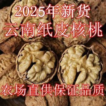 2025 New Arrival Walnuts Yunnan Paper-Skinned Walnuts Thin-Skinned Walnuts Ugly Walnuts First-Class Yunnan Nut Snacks Wholesale