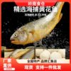 [Dropshipping] Yellow Croaker Fish Balls, Handmade Fish Eggs, Solid Non-Stuffed Fish Balls, Hot Pot Fish Meatballs, Oden