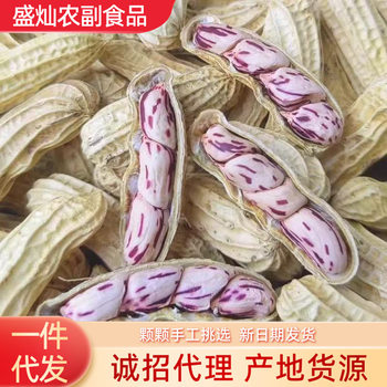 2025 New Yunnan Raw Colorful Peanuts Specialty Shelled Peanuts Washed Wild Fresh Raw Colorful Peanuts