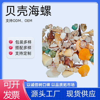 Natural Shell Fish Tank Landscaping Small Conch Shell Hand Decoration Painting Specimen Roll Shell Fish Hermit Crab Art Starfish