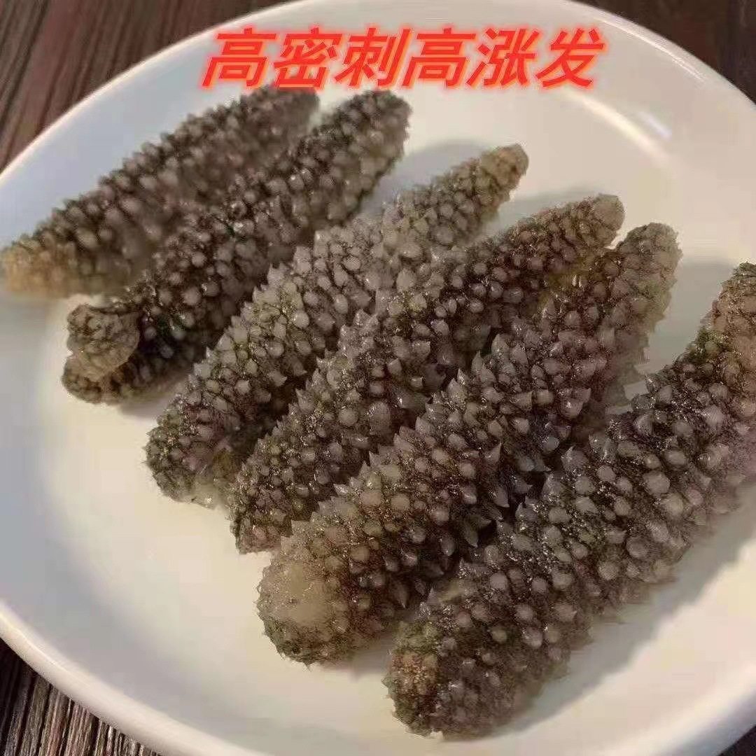 Natural Wild Deep Sea Popular Indonesian Small Black Sea Cucumber Light Dried 500g Sea Cucumber Dry Goods Soaked in Large Seafood