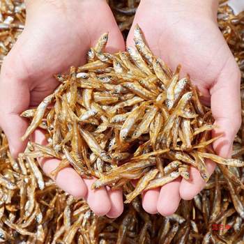 Fishermen's Sun-Dried White Anchovies, Small Dried Fish for Human Consumption, Dried Small Fish, Small Dried Fish in Bulk