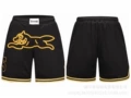 D085 black yellow dog
