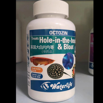 Uk Genuine Waterlife Large White Flakes for Arowana, Stingray, Tropical Koi Internal and External Conditioning