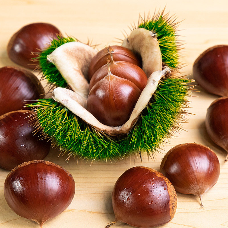 Fresh Chestnuts in Season 2025 Fresh Tender Chestnuts Hairy Chestnuts Farm Chestnuts Non-Cone Chestnuts Small Oil Chestnuts