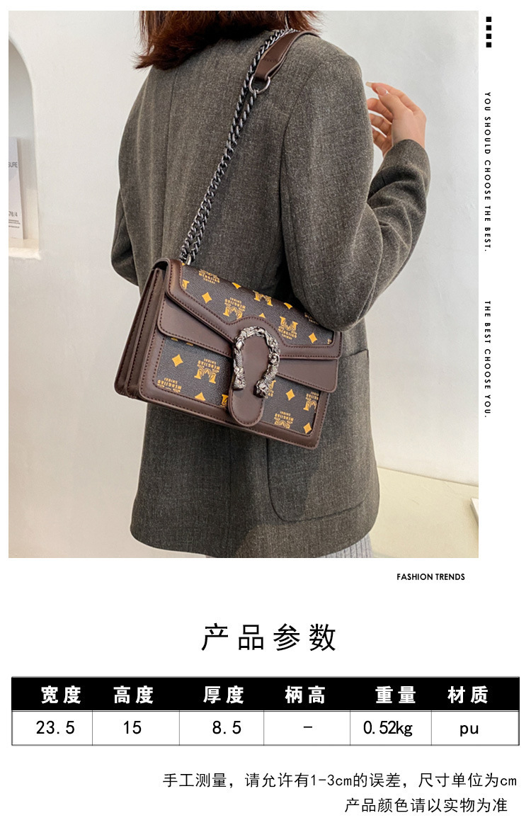 French Niche Bags for Women New Trendy Autumn and Winter Chain Shoulder Crossbody Bag Printed Small Square Bag Retro Style 1 undefined