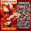 Frozen Fresh Lobster Tails, Large Fresh Live Crayfish Tails Without Ice Coating, Commercial Fresh Frozen Wholesale Fresh Aquatic Products