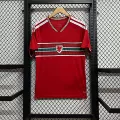 Fans 2627 wales home