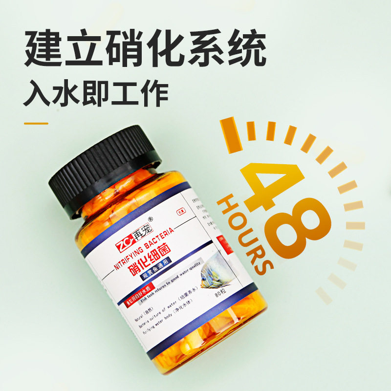 Re-pet nitrifying bacteria capsules Dragon fish tank water purification agent water quality stabilizer concentrated dry powder bacteria nitrifying bacteria capsules