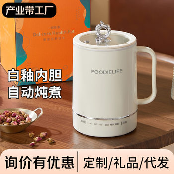 Travel portable electric heating water cup dormitory electric heating cup cooking instant noodles student electric cooking cup mini small kettle