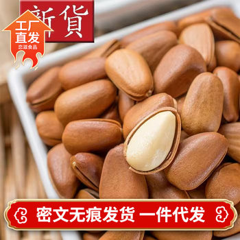 Northeast Open Pine Nut [Daifa] 500g New Red Pine Nut Dried Fruit Snacks