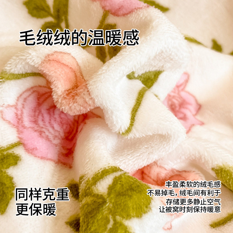 Class a Printed Milk Velvet Four-Piece Set Thickeneded Warm Velvet Set Quilt Cover Fleece-Lined Bed Four-Piece Set Nantong Home Textiles