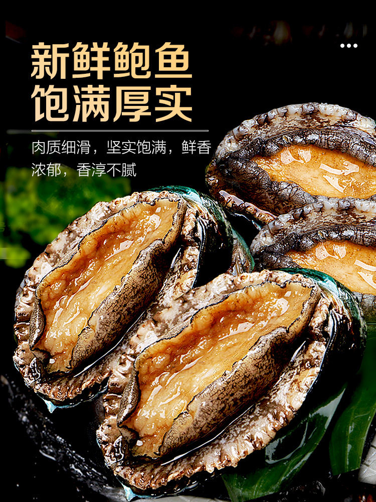 Fresh Abalone, Fresh Seafood, Water Produces Fresh Extra Large Heated Ready-To-Eat Dried Small Abalone Sauce Rice Wholesale