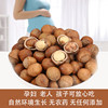 One-Piece Drop-Shipping Hazelnuts from Northeast China, a Specialty of Tie Ling, Roasted Hazelnuts with Original Flavor, Fresh Dried Fruits and Nuts